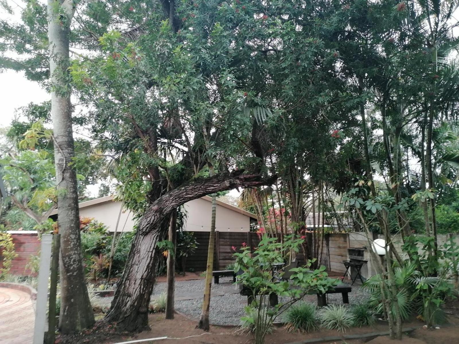 Nqabanqaba Bed & Breakfast Richards Bay Exterior photo